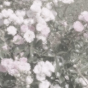 ﹒　　₎₎  𝖕épite       ͡ །†