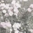 ﹒　　₎₎  𝖕épite       ͡ །†