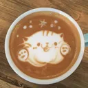 ಄  café com gato