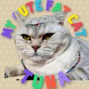 $Tuna's Purrrlandia