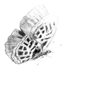˖ ݁𖥔 ݁˖ 𝐍𝐎𝐂𝐇𝐄 ˖ ݁𖥔 ݁˖