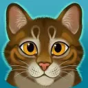 Warriors Amino Discord V2