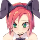 bunnys training server