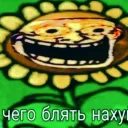 ТОКСИКОЗ