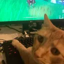 Lepako Discord server icon