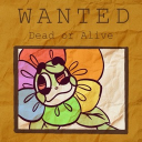 Discovery icon for ⧼⧼ Daily Board Updates : 🌼🌈 Discord server