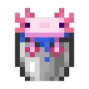 The Minecraft Place