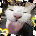 Toksuki's Sillies Discord Server!!1