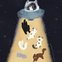 سويده كينيا عبدات سعبولات👋🏿 Discord server icon