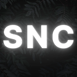 Discovery icon for Simply SNC | Pls Donate Hangout ; Robux Giveaways ; Daily Giveaways Discord server