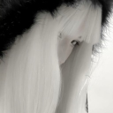 Discovery icon for vantae﹒social ﹒guilds Discord server