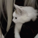 Discovery icon for vantae﹒social ﹒guilds Discord server