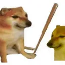 BAP Combat