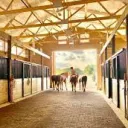 Back of the Stable
