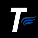 Torrent icon
