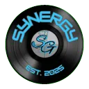 Synergy | SNR|G