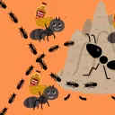 The Ant Farm