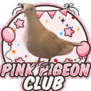 Pigeons as Pets icon
