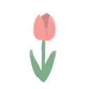 🌷チューリップ畑🌷