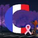 Colmar Rp Simulation [WL] | Emden RP FR Discord Server Icon