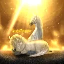 𝓢𝓾𝓷𝓼𝓮𝓽 𝓔𝓵𝓮𝓰𝓪𝓷𝓬𝓮 𝐎𝐩𝐞𝐧 𝐏𝐚𝐬𝐭𝐮𝐫𝐞