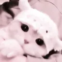 Kawaii HQ