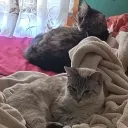Cozy Corner