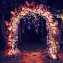 . . . | . . . the secret garden . . . | . . . Discord Server Icon
