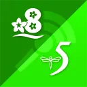 Channel 8-5 | CIBP
