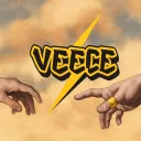 Veece Store