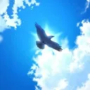 waybik_ua