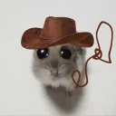 Retard Rodeo