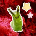 Cₒᵣₐₗ Cₐₜₑᵣₚᵢₗₗₐᵣₛ