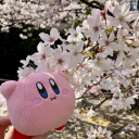 Hanami Discord server icon