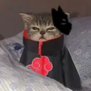 ᡕᠵデᡁ᠊╾━