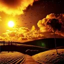 Sun Went Dark