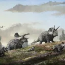 Herbivore Hub