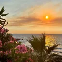 Server icon for ┆ ᶥ ‹🌺› ‧    @ 𝑨𝒁𝑼𝑹𝑬 ⟢