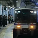 きゅうりの秘密基地