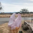 自由になれる場所