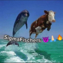 SigmaFischers 🔥😈🙏🏻
