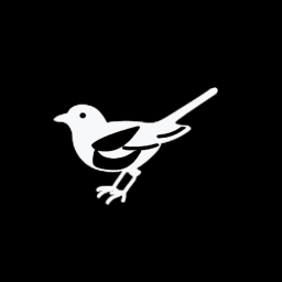 Discovery icon for Newcastle United Discord server