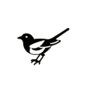 Discovery icon for Newcastle United Official Discord server