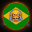 R.E.P.O. Brasil