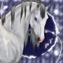 𝓟𝐋𝐀𝐓𝐈𝐍𝐔𝐌 𝓣𝐑𝐎𝐎𝐏𝐄𝐑𝐒 ✩ 𝙊𝙎