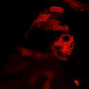 Privacy Lords icon