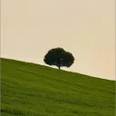 Ascendria