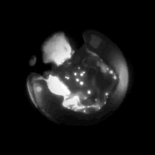 Rockstar — мониторинг Discord сервера, статистика и рейтинг