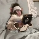 𝓜𝓸𝓷𝓸𝓼 𝓮𝓷 𝓟𝓲𝓳𝓪𝓶𝓪