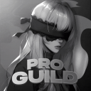 Discovery icon for Pro Guild Discord server